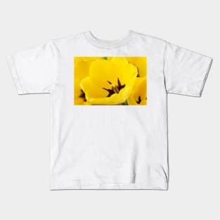 Tulipa  'Golden Apeldoorn' Darwin Hybrid Group  Tulip Kids T-Shirt